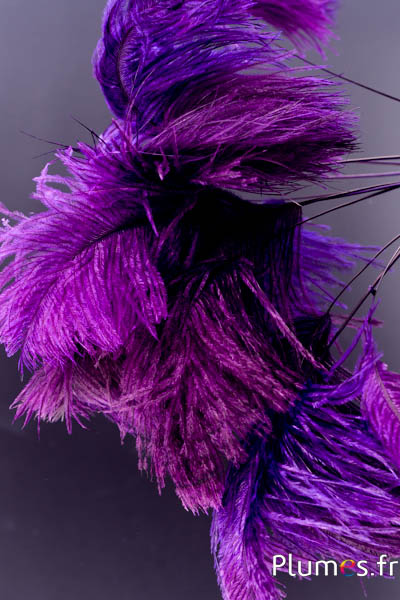 Panicule autruche - 35-40 cm - aubergine-gris naturel